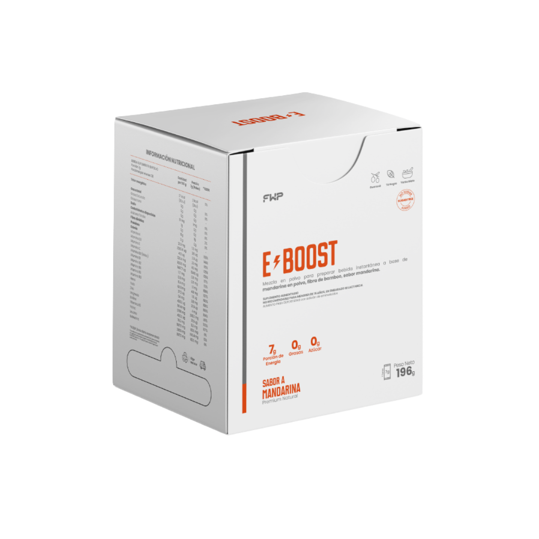 E-BOOST